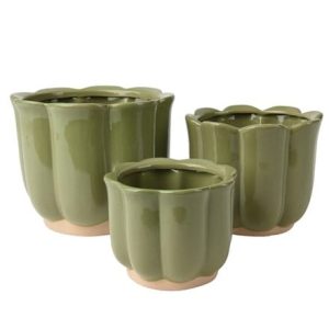 Ceramic petal plant pot set of 3 - green