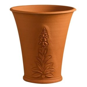 RHS foxglove pot