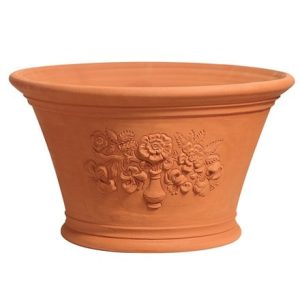 RHS roses and lilies pot