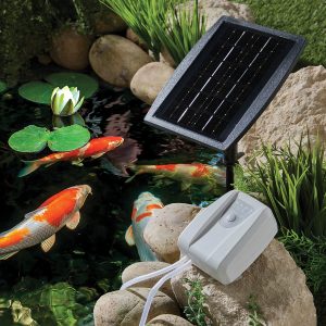 Solar Pond Oxygenator