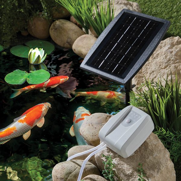 Solar Pond Oxygenator