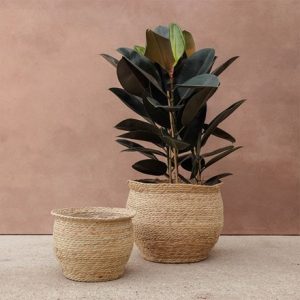 Woven urn indoor plant pot - natural