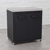 Draco Grills Titan Outdoor Kitchen Black Double Door Cabinet with Stainless Steel Top, Early April 2025