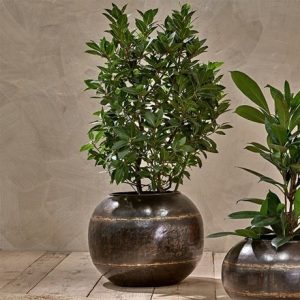 Reclaimed large iron globe plant pot - aged black