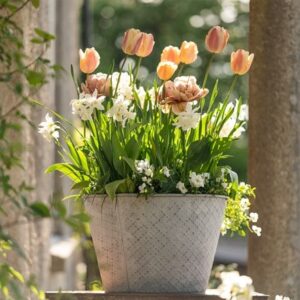 100 days of pastels pot collection