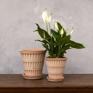 Bergs geometric design tapered plant pot with saucer - terracotta