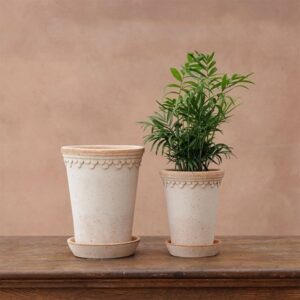 Bergs scalloped tall pot & saucer - terracotta
