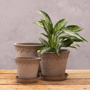 Bergs scalloped tapered plant pot with saucer - grey terracotta