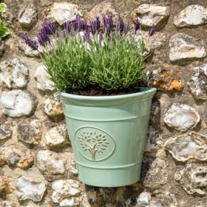 Blenheim Green 23X25Cm Wall Pot Set Of 2