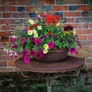 Bollywood - Easyplanter for hanging baskets & patio pots