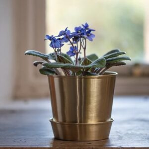Brushed brass pot and tray