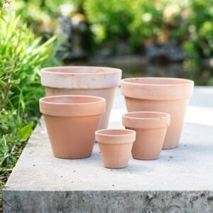 Classic Italian terracotta pot whitewash