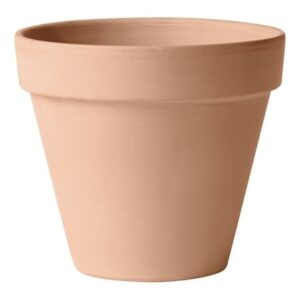 Classic Italian whitewash terracotta pot & saucer