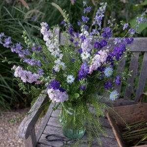 Cottage garden cutting garden collection