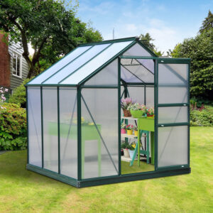 Dark Green 6X6Ft Walk-In Polycarbonate Greenhouse