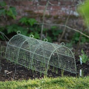 Deer cloche