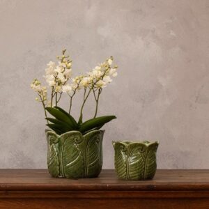 Fern indoor glazed pot set of 2 - green
