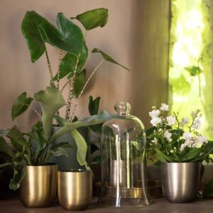 Indoor bell cloche