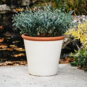 Ivory tree pot