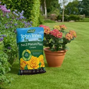 John Innes peat-free no.3 mature plant compost