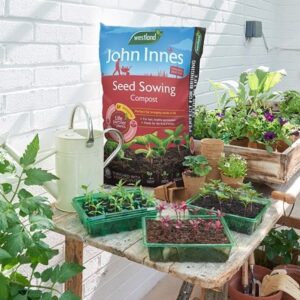 John Innes peat-free seed sowing compost