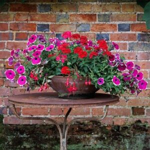 Lipstick - Easyplanter for hanging baskets & patio pots