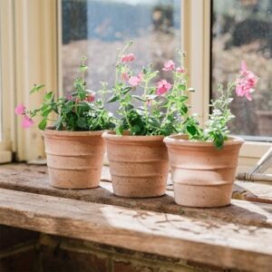 Mini ridged grow pot - terracotta