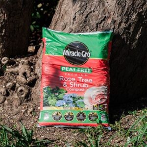 Miracle gro peat-free premium rose, tree and shrub compost