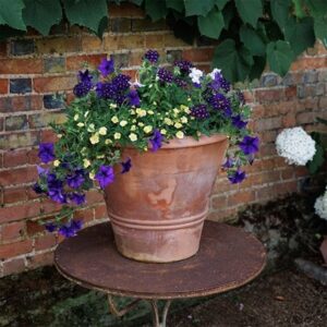 Nautical chic - Easyplanter for hanging baskets & patio pots