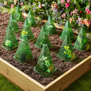 Pack of 12 Plant Cloches H19 xW19 xD22cm, Protect Plants From Pests & the Elements