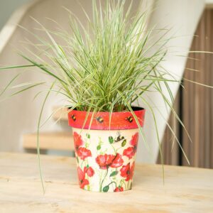 Poppies & Bees 15Cm Pot Set Of 3