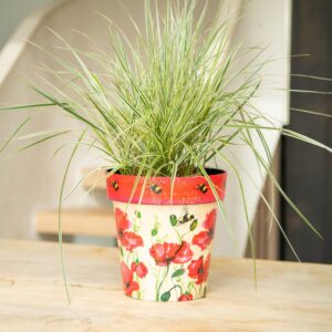 Poppies & Bees 22Cm Pot Set Of 3