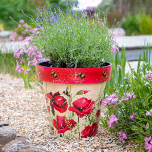 Poppies & Bees 30Cm Pot Set Of 2
