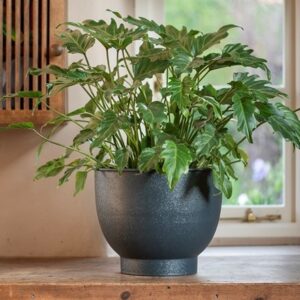 Pot with step base - teal