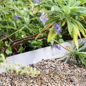 Powder coated steel flexible garden edging pack of 5 - light grey