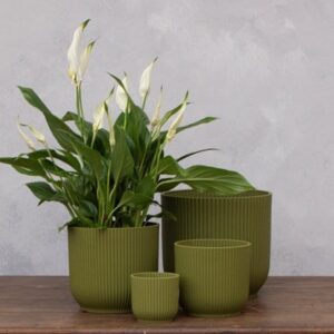 Ribbed lightweight plastic plant pot - fern green