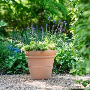 Ridged Italian terracotta pot - whitewash