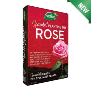 Rose planting & potting peat-free mix