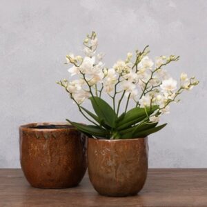 Rustic glazed pot - red