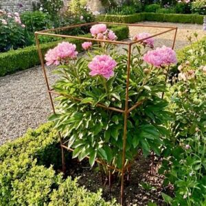Square rose support - rust