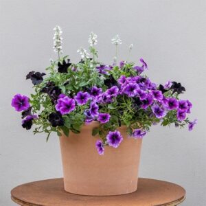 Storm Clouds - Easyplanter for hanging baskets & patio pots