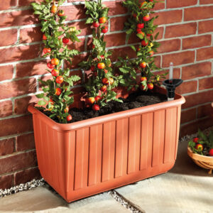 Tomato Planter - H34.5 xW65 xD33cm