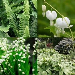 Tom's Chelsea Woodland Sanctuary collection 'Texture & form'