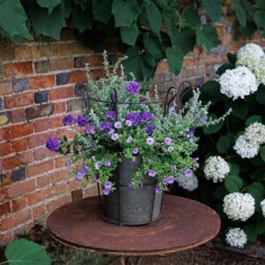 Trusted friend - Easyplanter for hanging baskets & patio pots