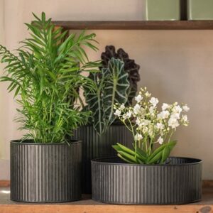 Verti rib pot