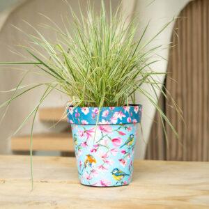 Watercolour Birds 22Cm Pot Set Of 3