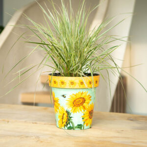 Watercolour Sunflower 22Cm Pot Set Of 3