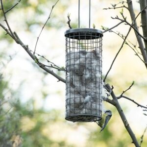 Bird nesting wool dispenser