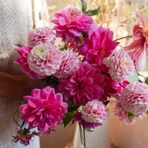 Botanical Tales dahlia collection