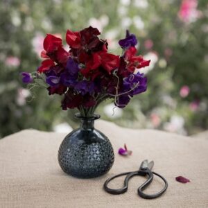 Bright and bold sweet pea collection